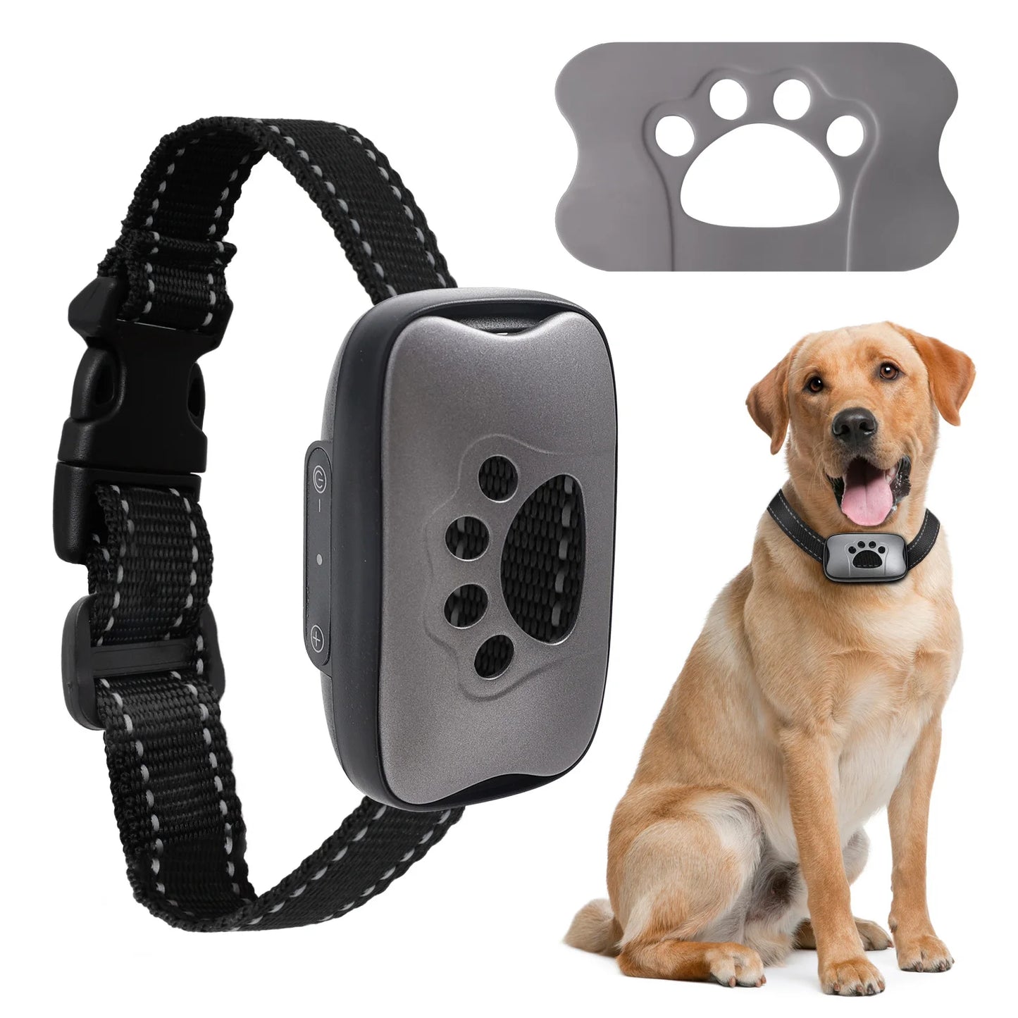 Collier Anti-Aboiement Ultrasonique — Rechargeable USB Sans Choc