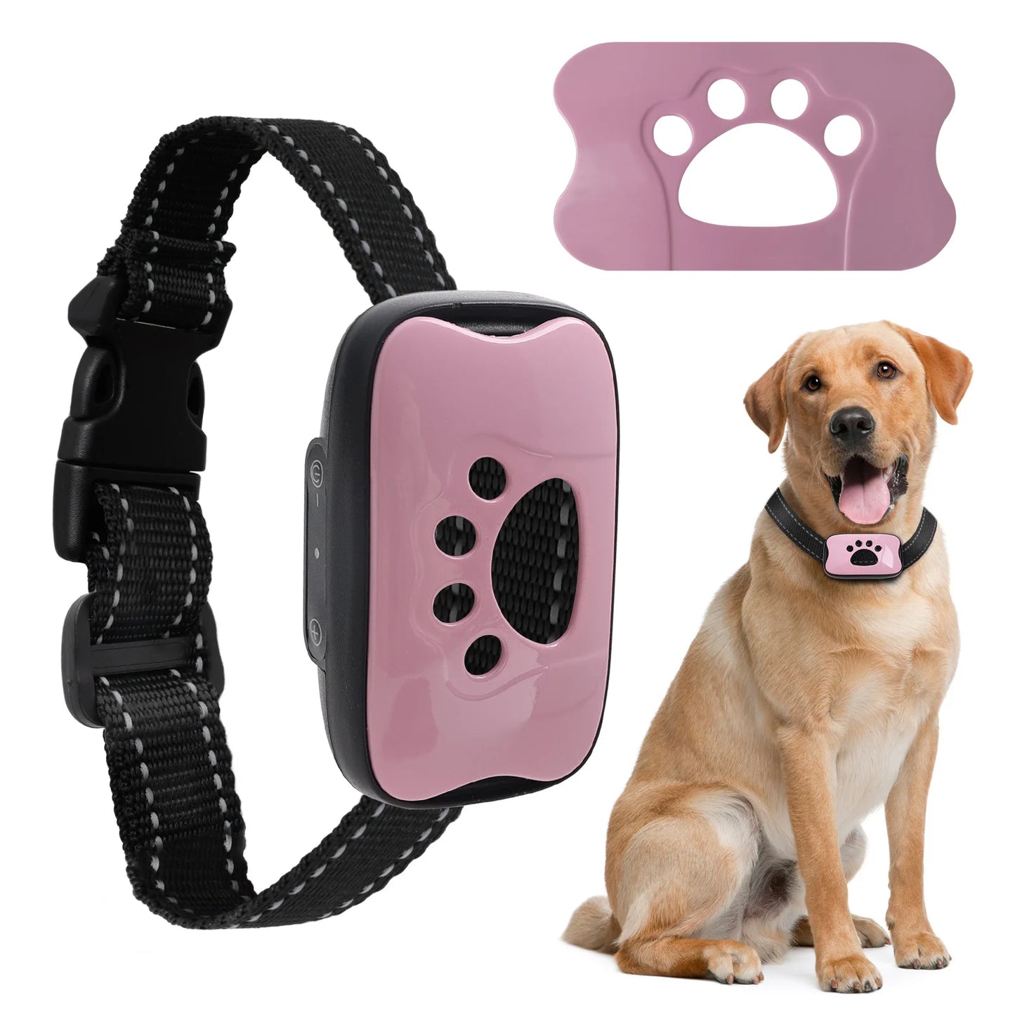 Collier Anti-Aboiement Ultrasonique — Rechargeable USB Sans Choc