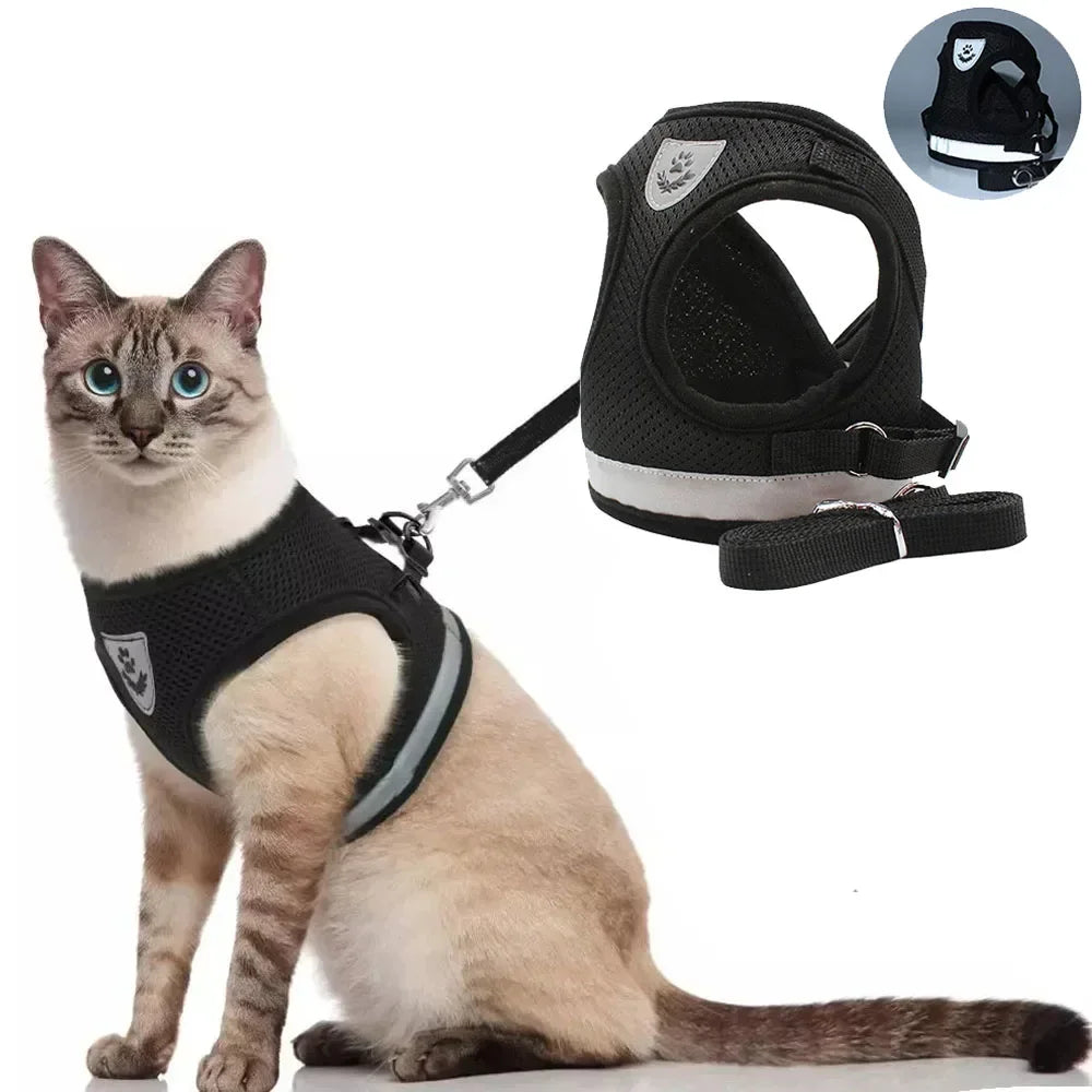 Harnais & Laisse pour Chat